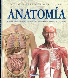 ATLAS ILUSTRADO DE ANATOMIA1