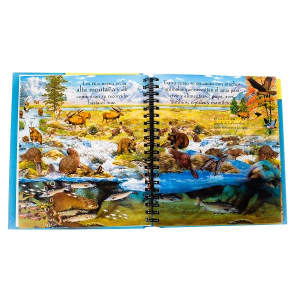 YO DESCUBRO ANIMALES ACUATICOS3