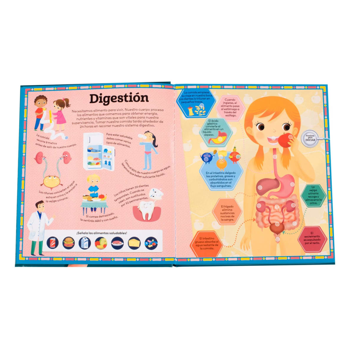 CUERPO HUMANO CON SONIDO3