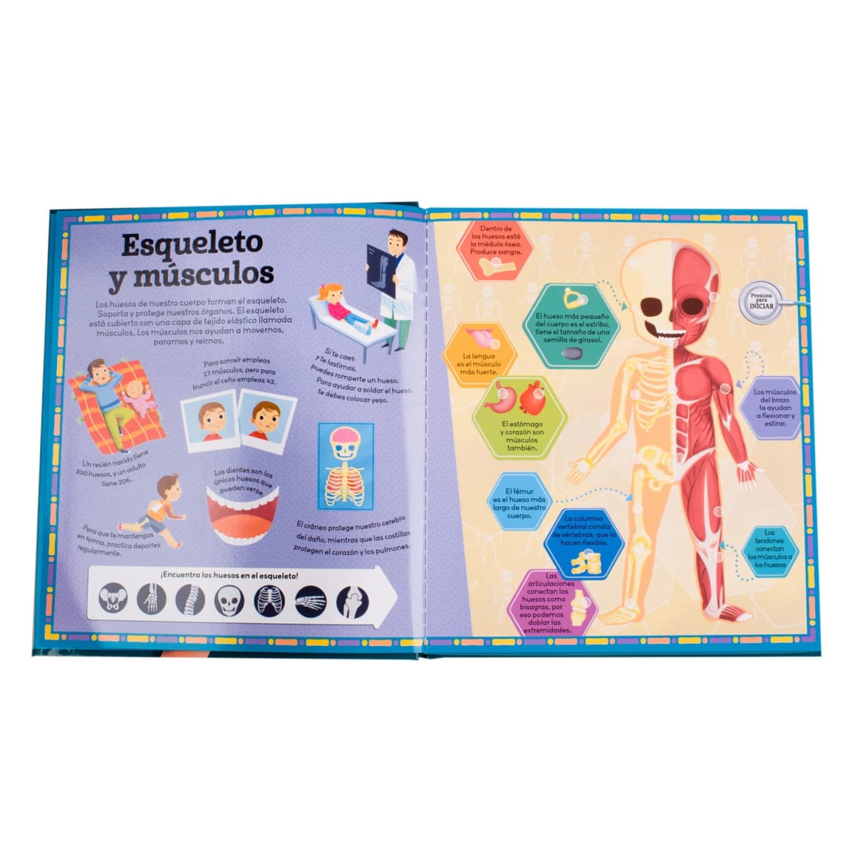 CUERPO HUMANO CON SONIDO2