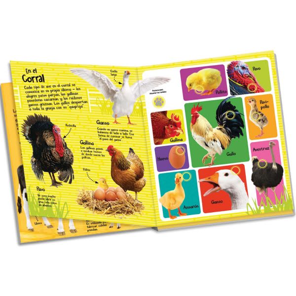 SONIDOS DE LA GRANJA2