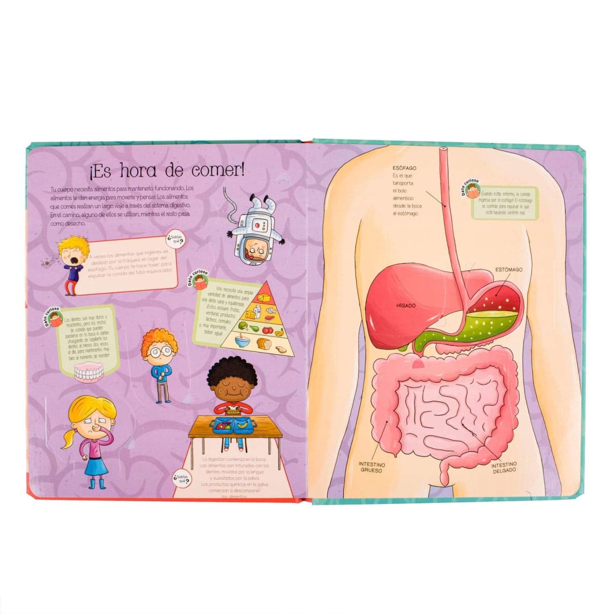 CUERPO HUMANO (SOLAPAS)3