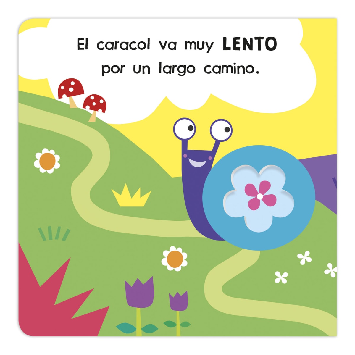 MIRA DESCUBRE OPUESTOS4