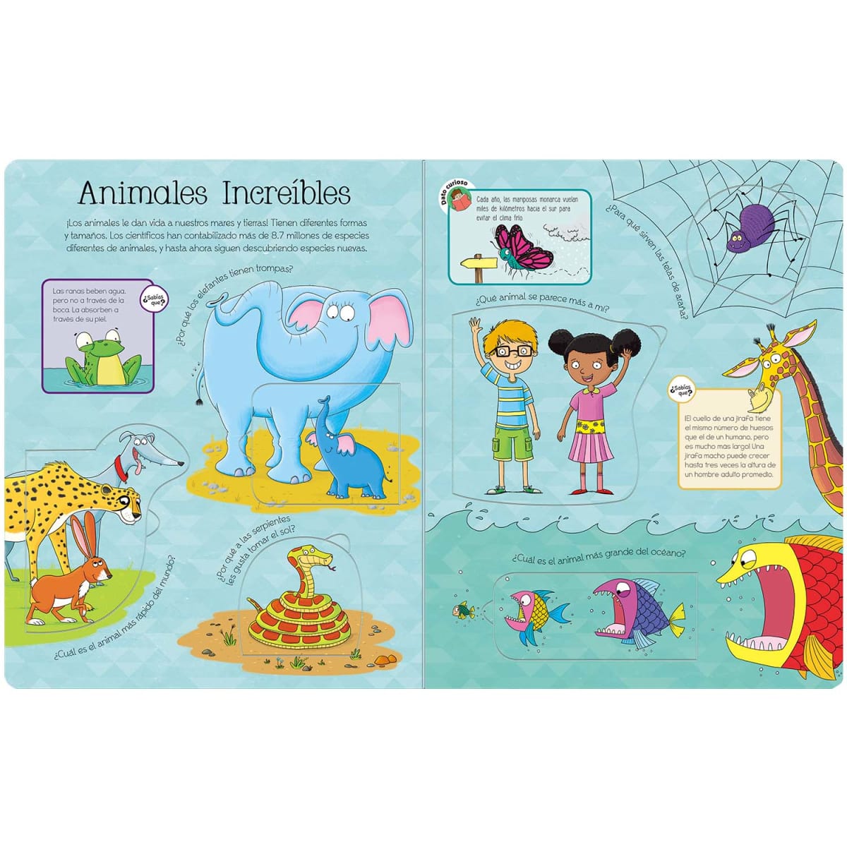 PREGUNTAS Y RESPUESTAS SOLAPAS3