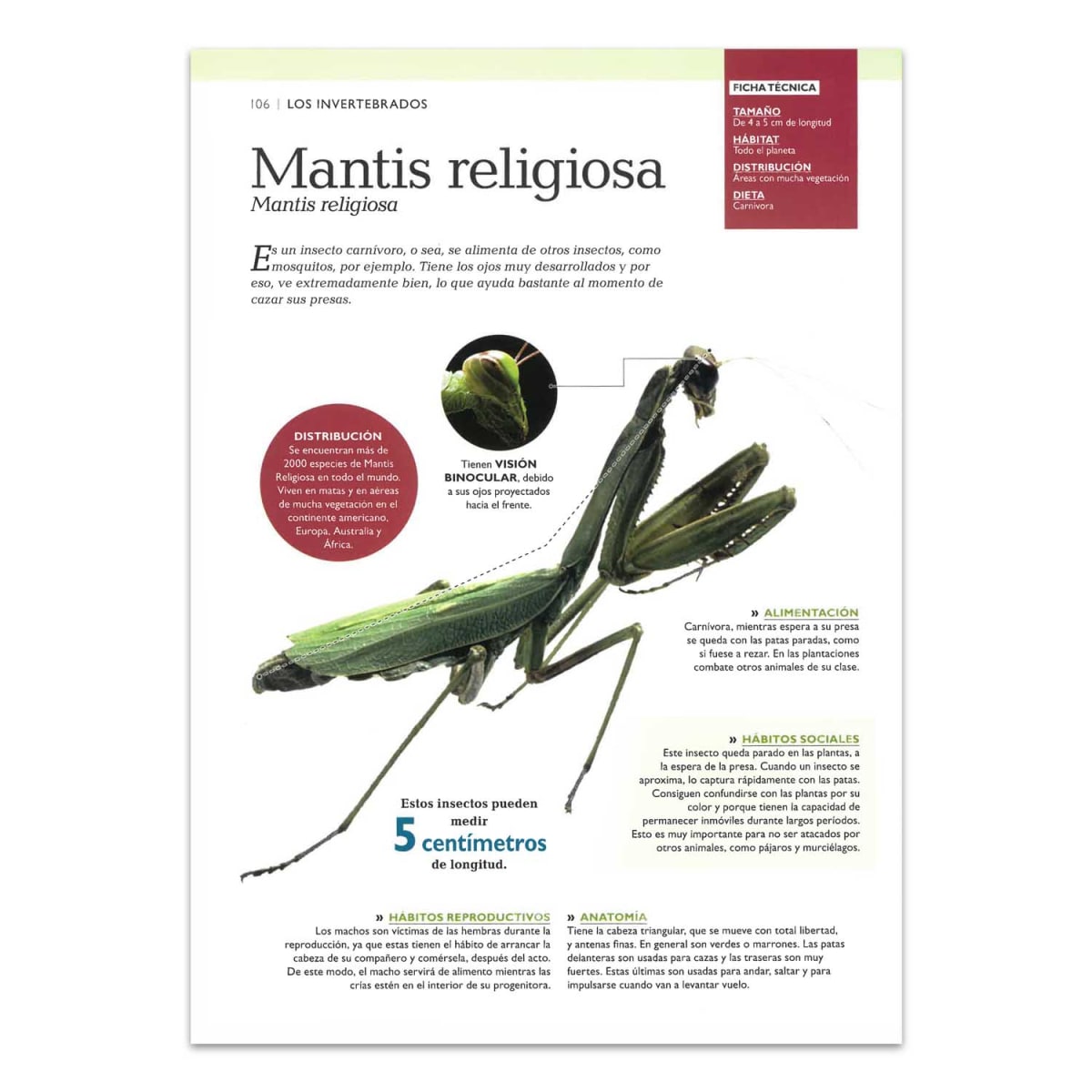 MUNDO ANIMAL SECRETO Y MARAVILLOSO2