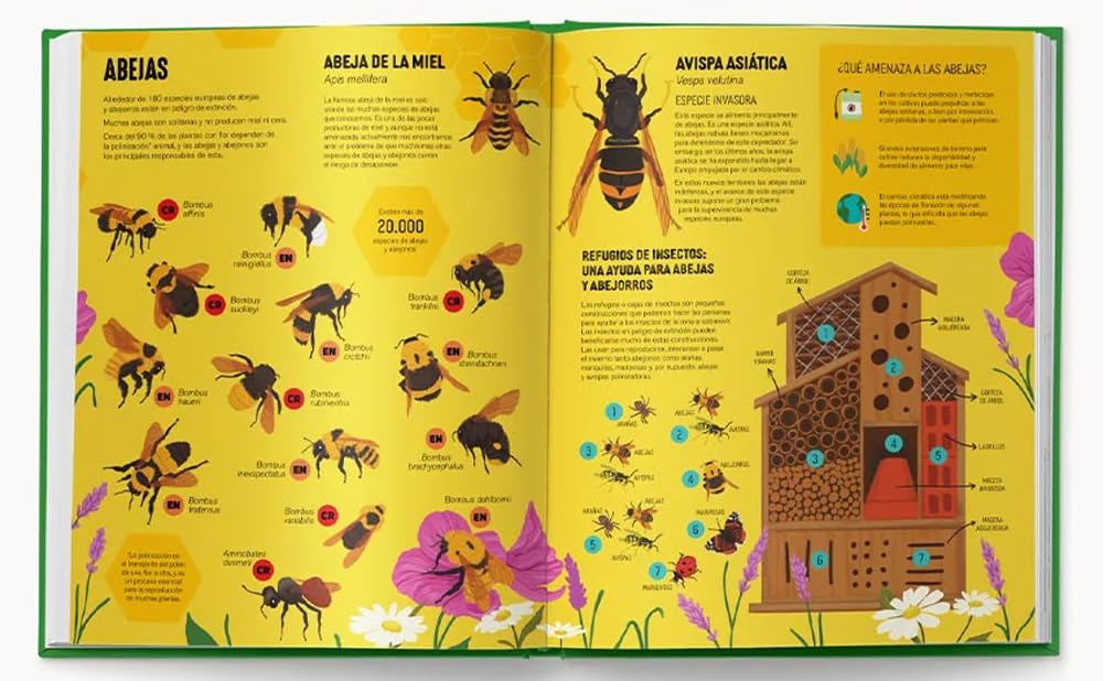 CONOCE, AMA Y PROTEGE. ANIMALES - LAURA FRAILE2