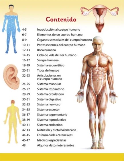 CUERPO HUMANO - ENCICLOPEDIA ILUSTRADA PARA NIÑOS2