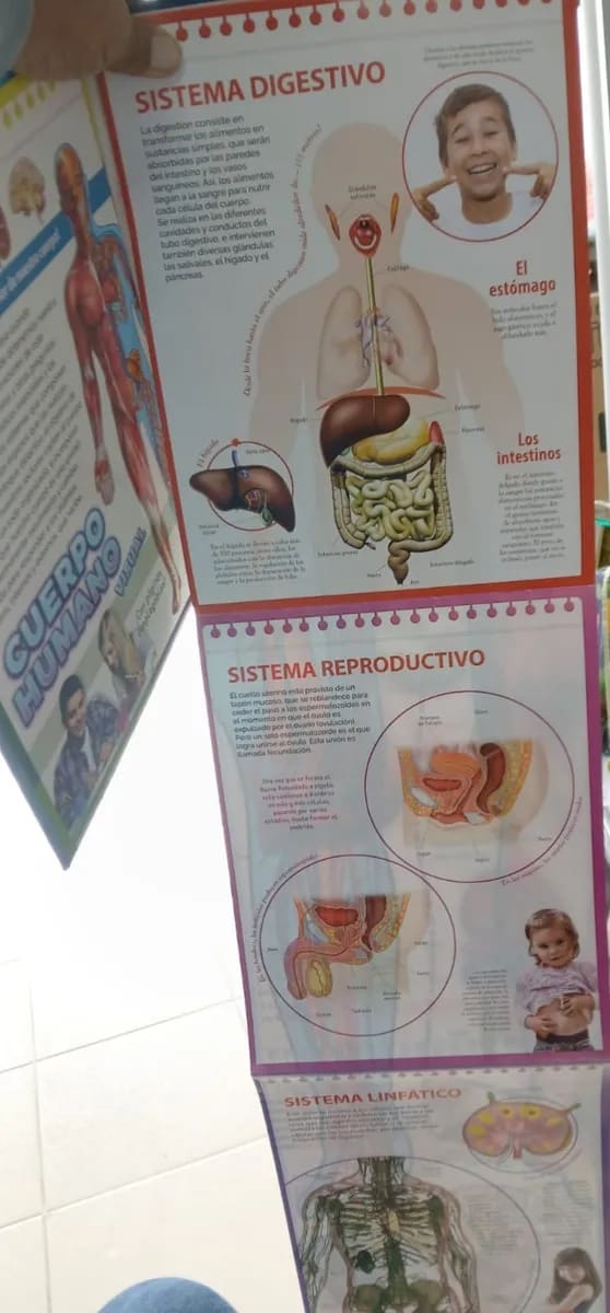 CUERPO HUMANO VISUAL3