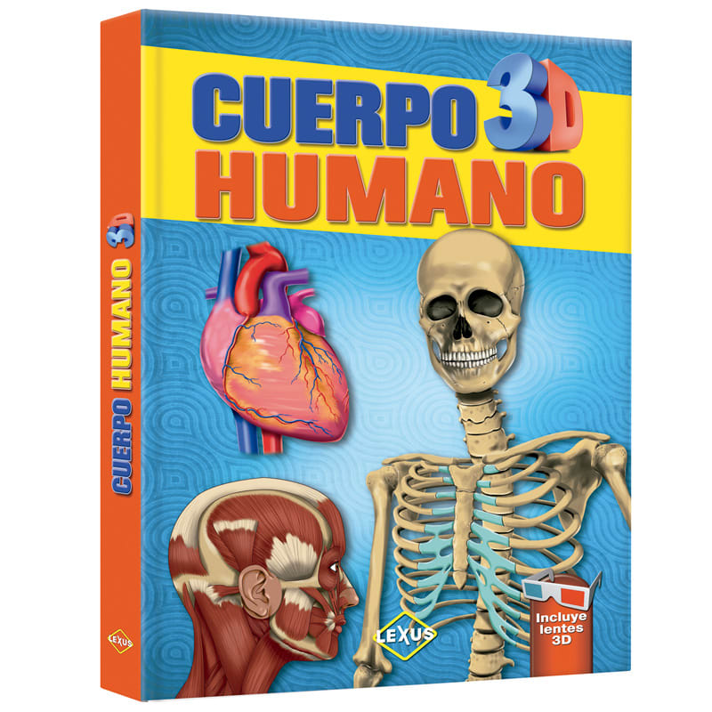 CUERPO HUMANO 3D (P)1