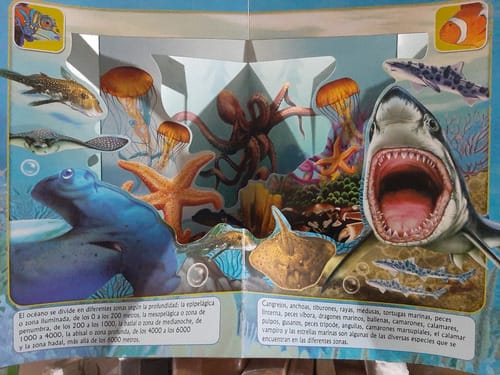 CRIATURAS DEL OCEANO POP UP2