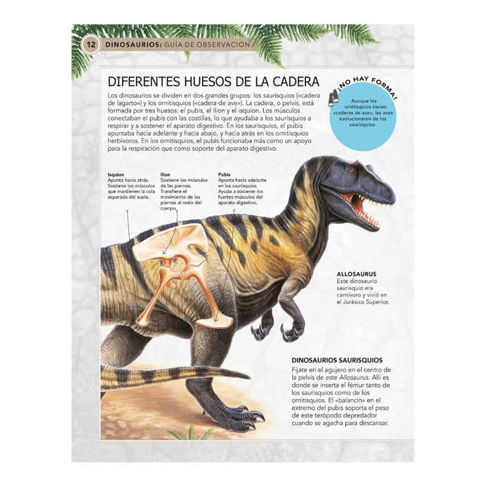DINOSAURIOS GUÍA DE OBSERVACIÓN MÁS DE 1604