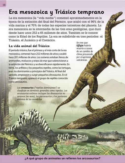 DINOSAURIOS Y VIDA PREHISTÓRICA - ENCICLOPEDIA ILUSTRADA PARA NIÑOS3