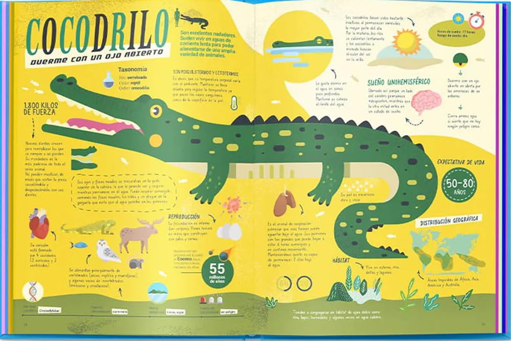 DORMILONES - OCTAVIO PINTOS, MARTÍN IANNUZZI2