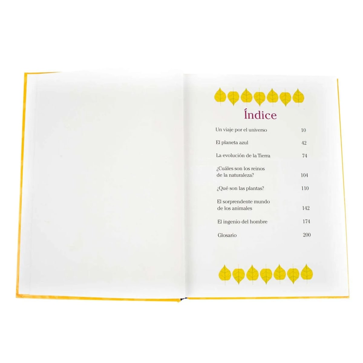 EL LIBRO DE LAS PREGUNTAS Y RESPUESTAS4