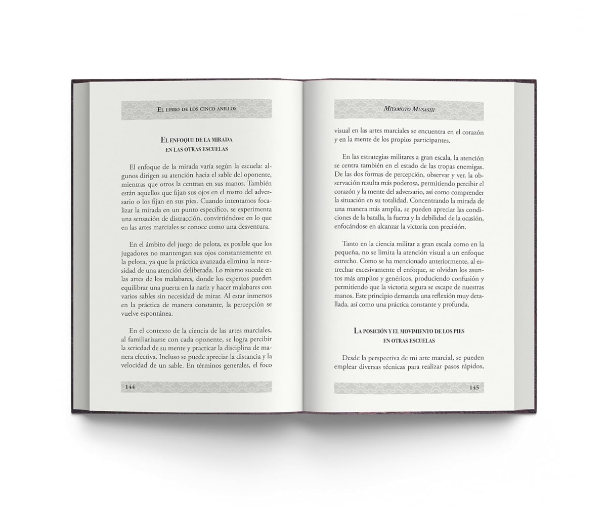 EL LIBRO DE LOS CINCO ANILLOS - MUSASHI MIYAMOTO. AMATISTA4