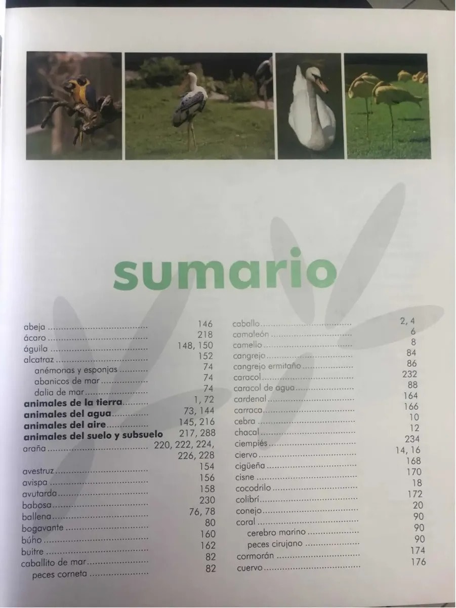 EL MUNDO DE LOS ANIMALES TD2
