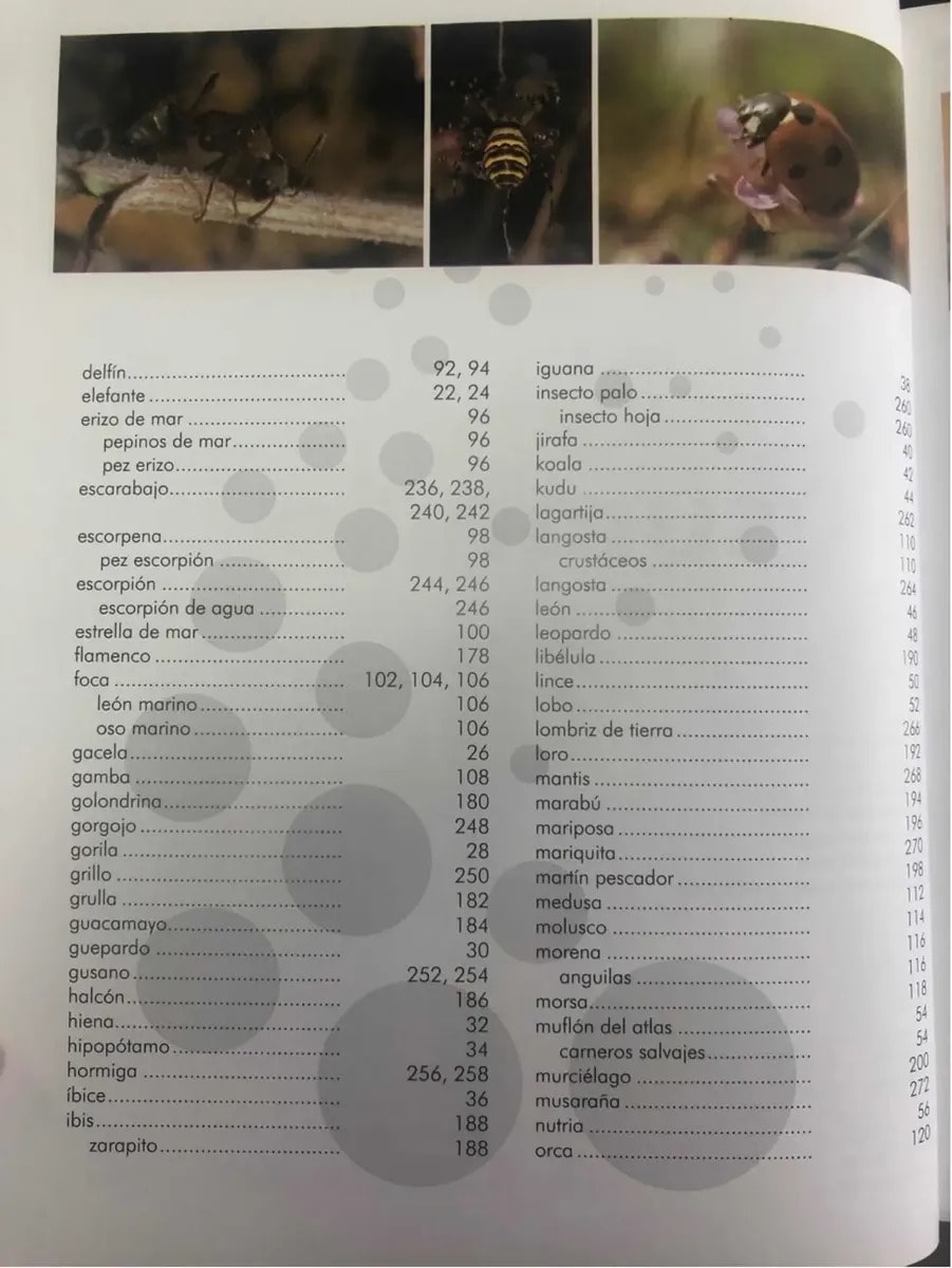 EL MUNDO DE LOS ANIMALES TD3