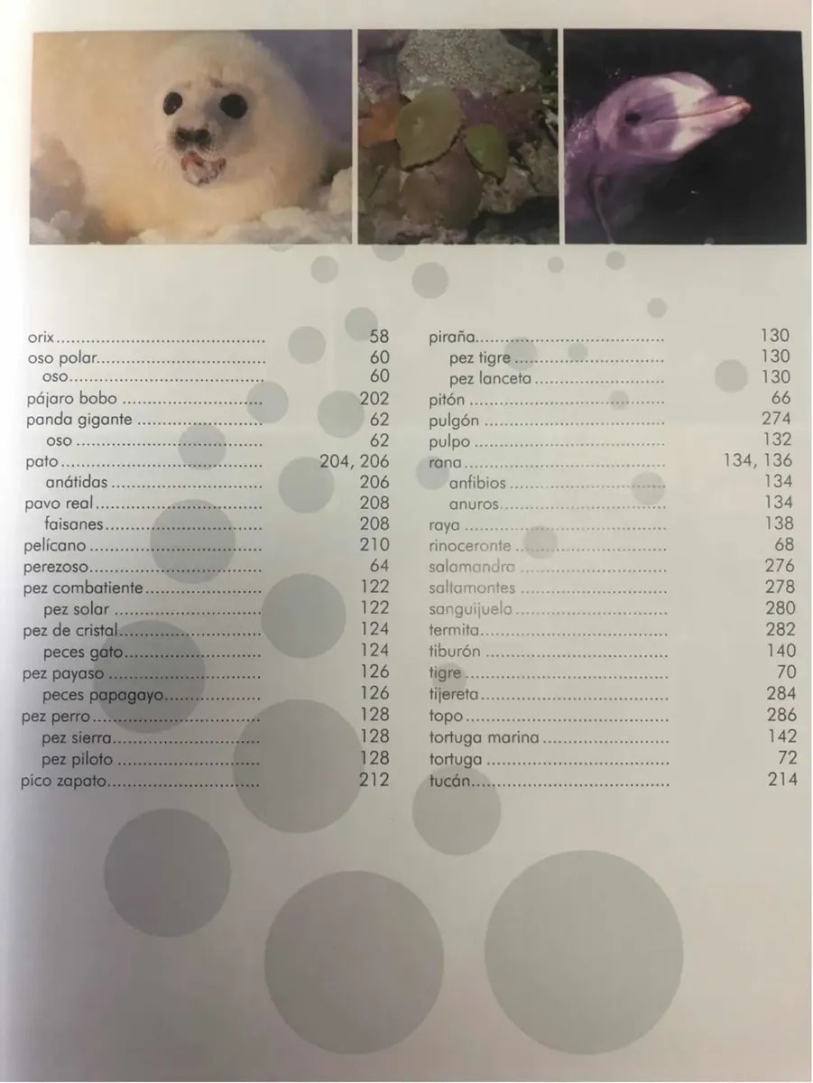 EL MUNDO DE LOS ANIMALES TD4