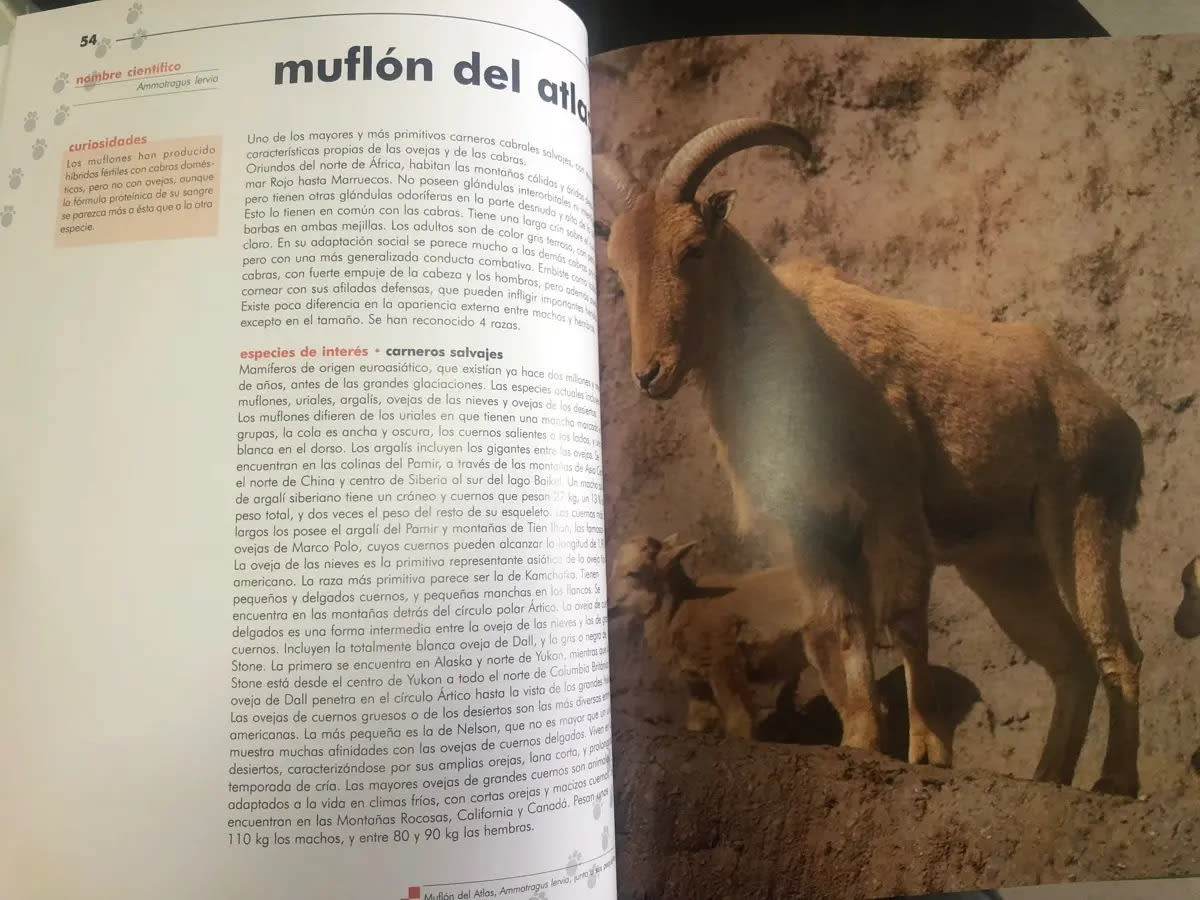 EL MUNDO DE LOS ANIMALES TD5