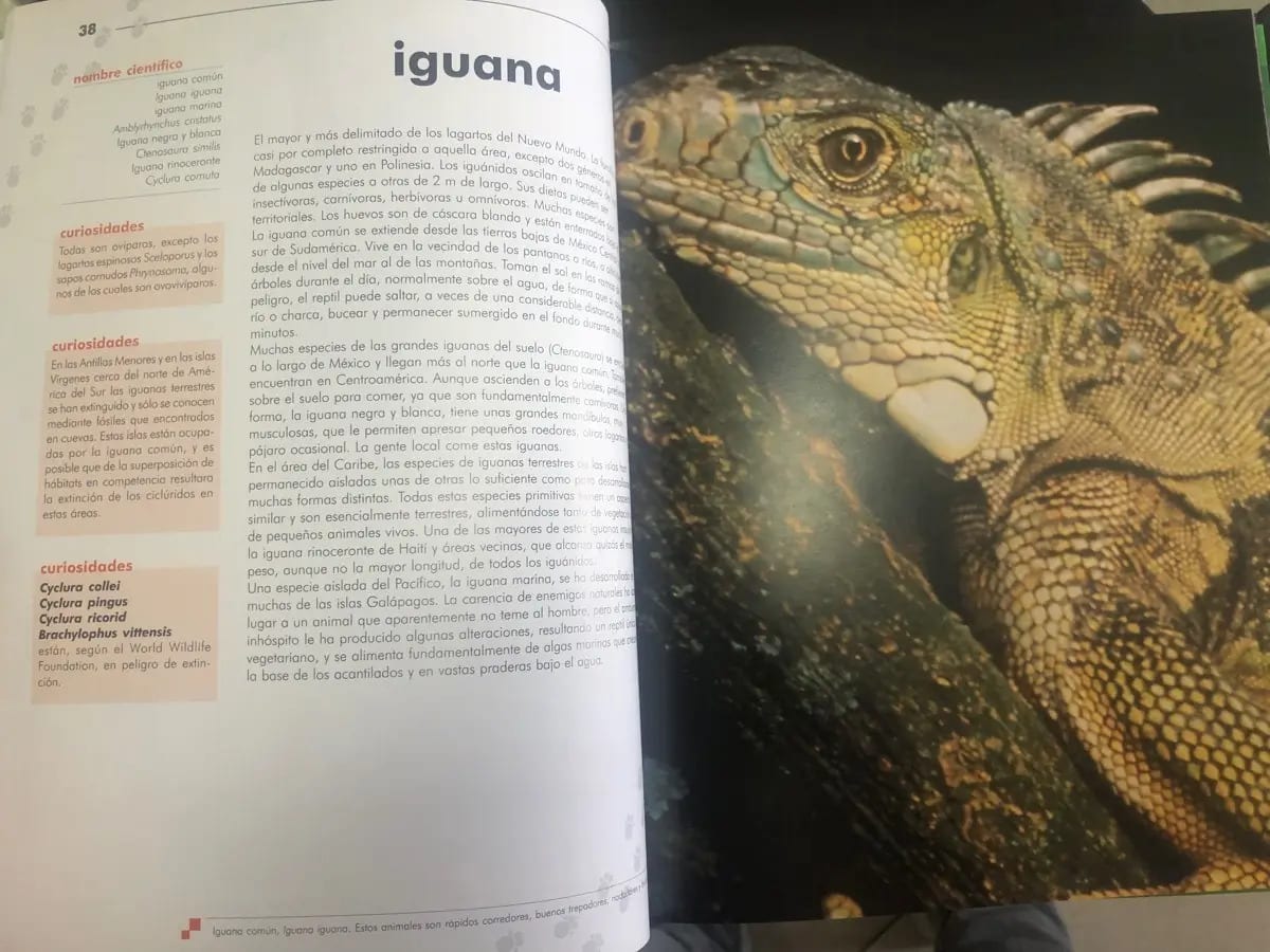 EL MUNDO DE LOS ANIMALES TD6