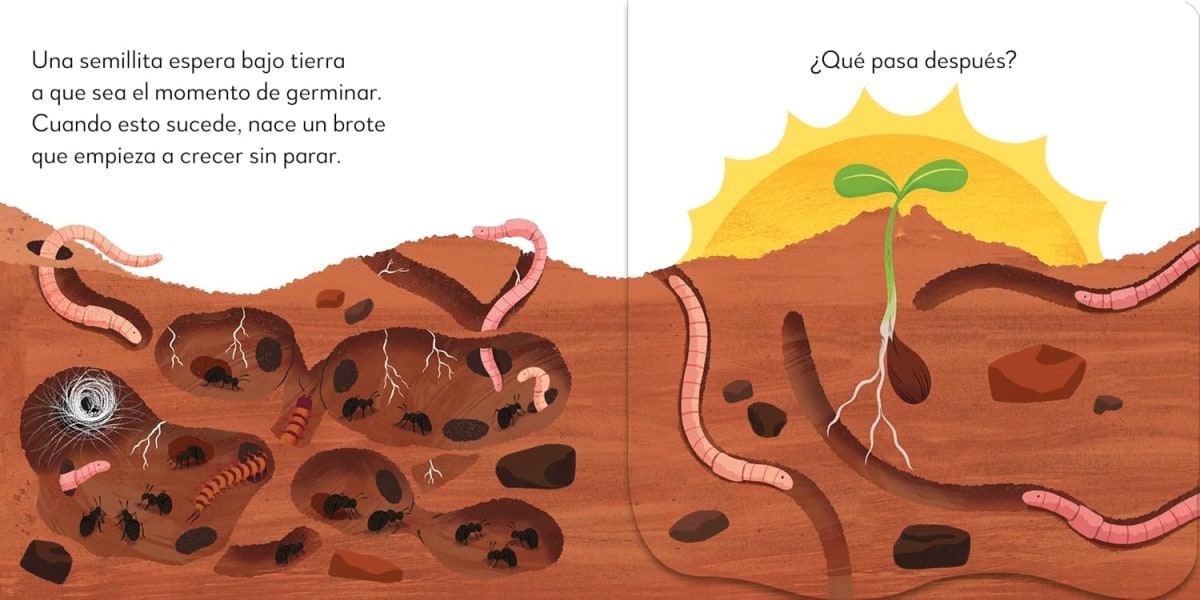 EL ÁRBOL POP UP SORPRESA - DK4