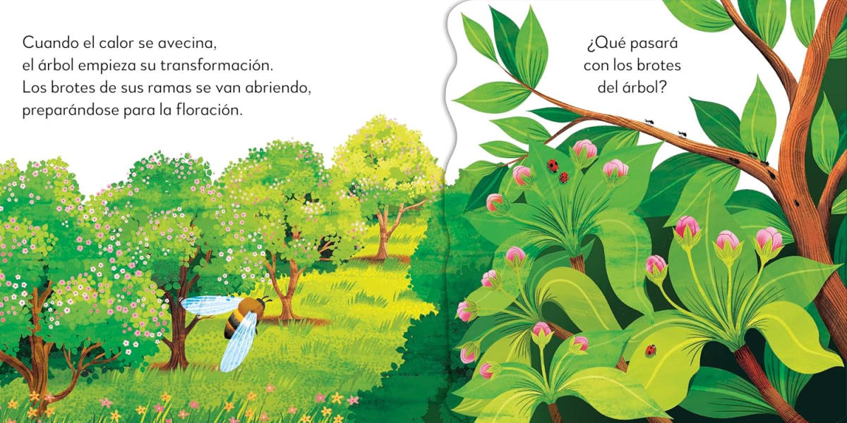 EL ÁRBOL POP UP SORPRESA - DK6
