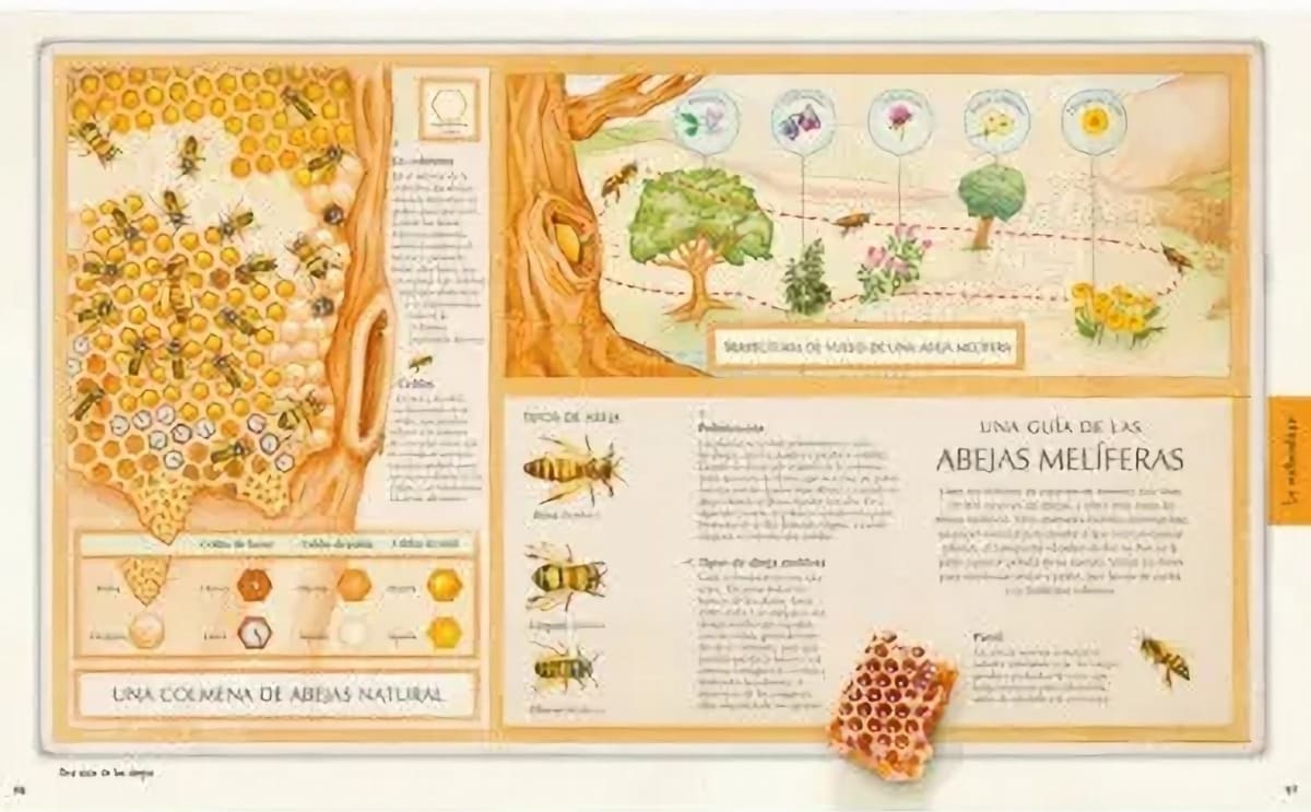 ¡EXPLORA! DESCUBRE EL MUNDO DE CONOCIMIENTOS TAPA DURA - DK6