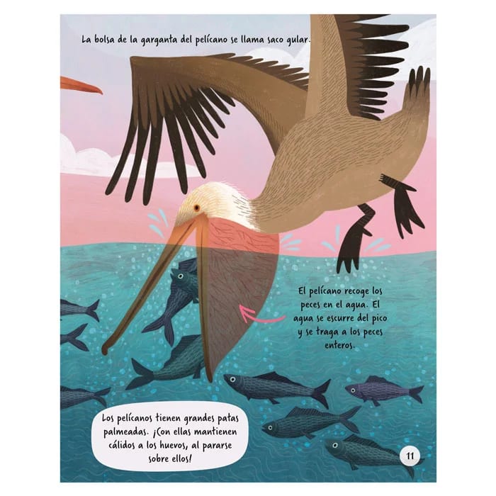 EXPLOREMOS EL OCÉANO3