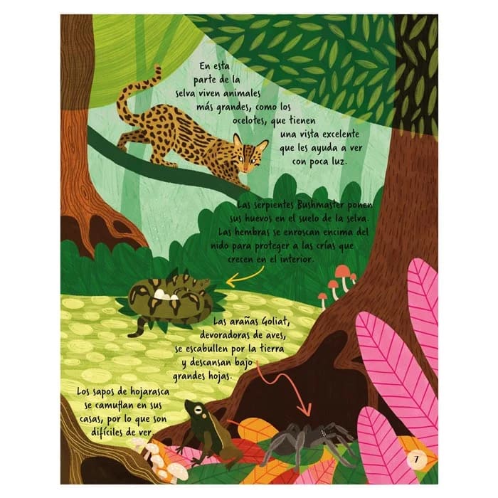 EXPLOREMOS LOS ANIMALES DE LA SELVA2