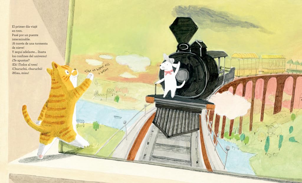GATO DE BIBLIOTECA TD - CHOI JEE-HYE3