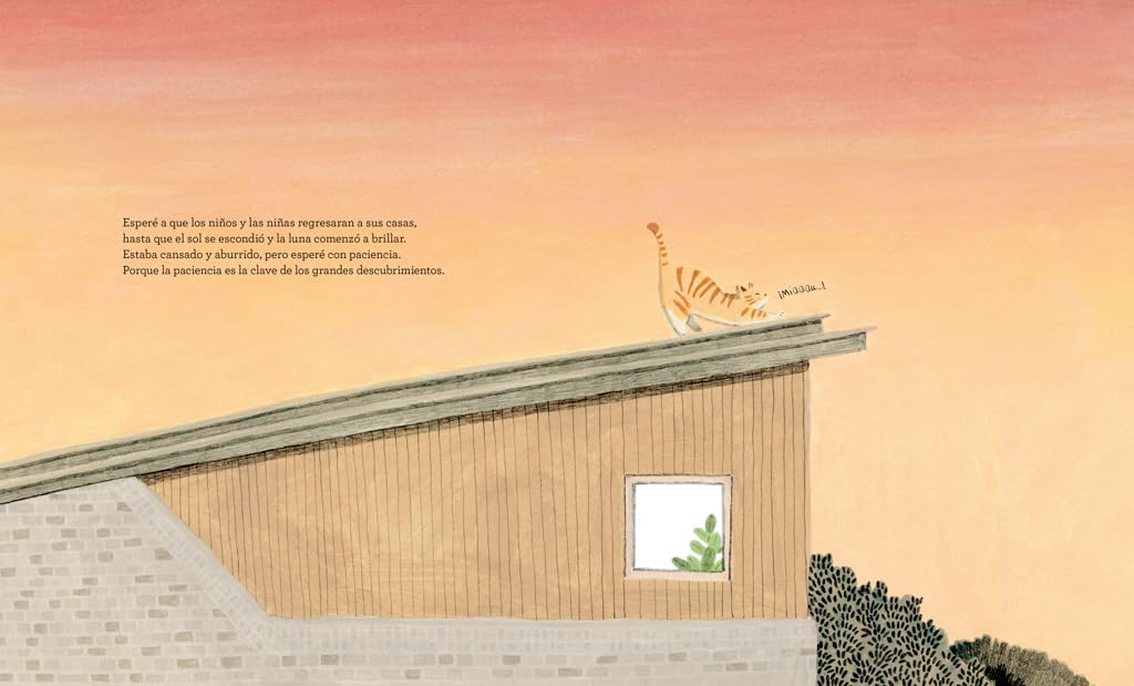 GATO DE BIBLIOTECA TD - CHOI JEE-HYE4