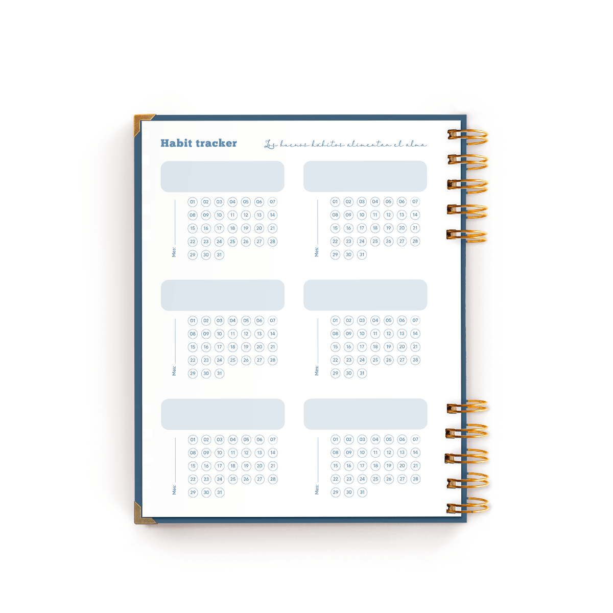 AGENDA CON FECHAS LIBRE VIVE1