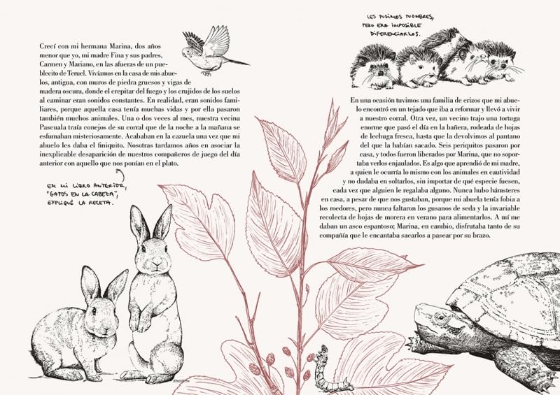 HISTORIA DE UN GATO - LAURA AGUSTÍ3