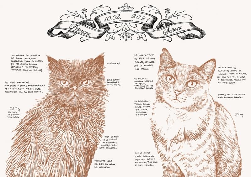 HISTORIA DE UN GATO - LAURA AGUSTÍ7