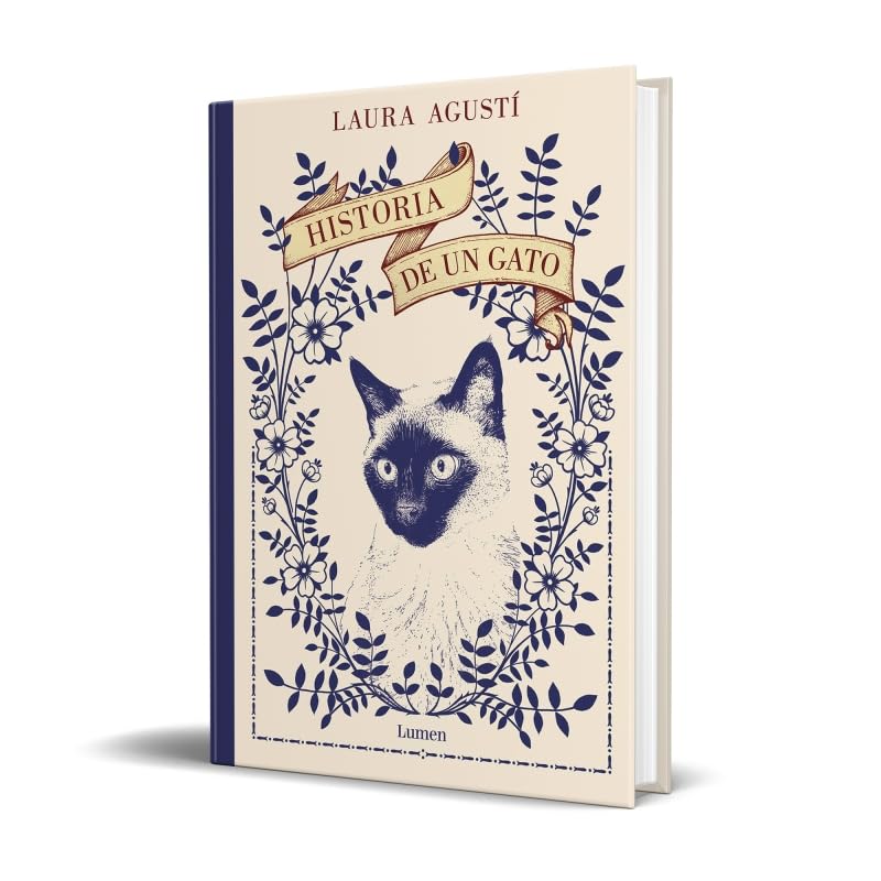 HISTORIA DE UN GATO - LAURA AGUSTÍ2