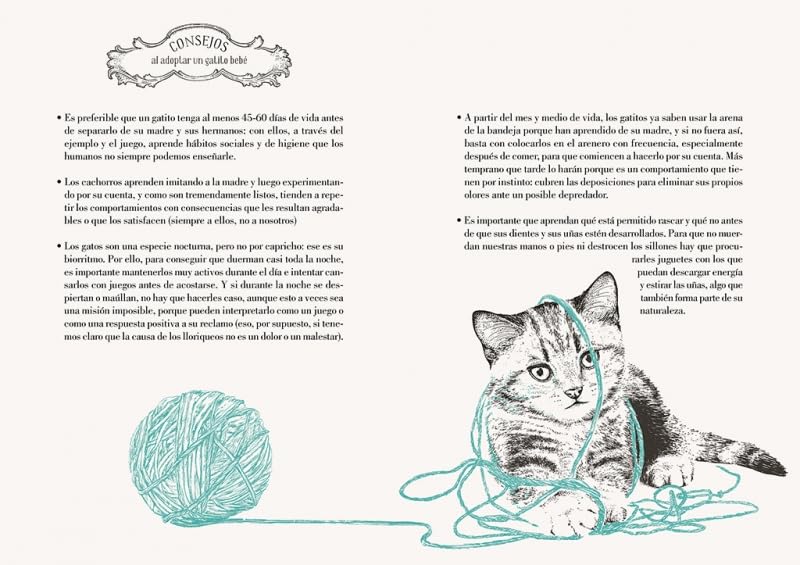 HISTORIA DE UN GATO - LAURA AGUSTÍ5