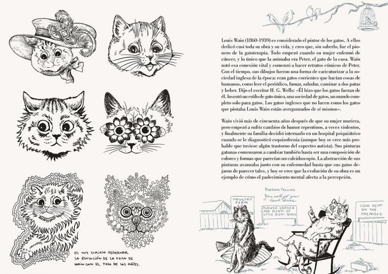 HISTORIA DE UN GATO - LAURA AGUSTÍ6