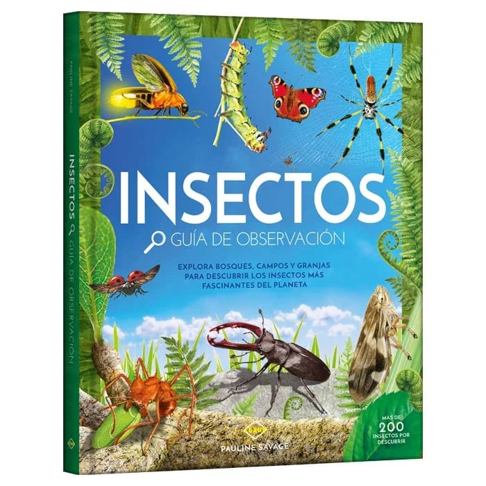 INSECTOS GUÍA DE OBSERVACIÓN MÁS DE 2001
