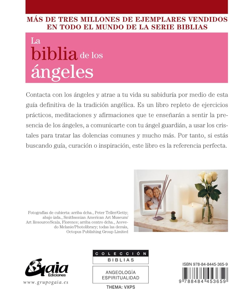 LA BIBLIA DE LOS ÁNGELES - HAZEL RAVEN2
