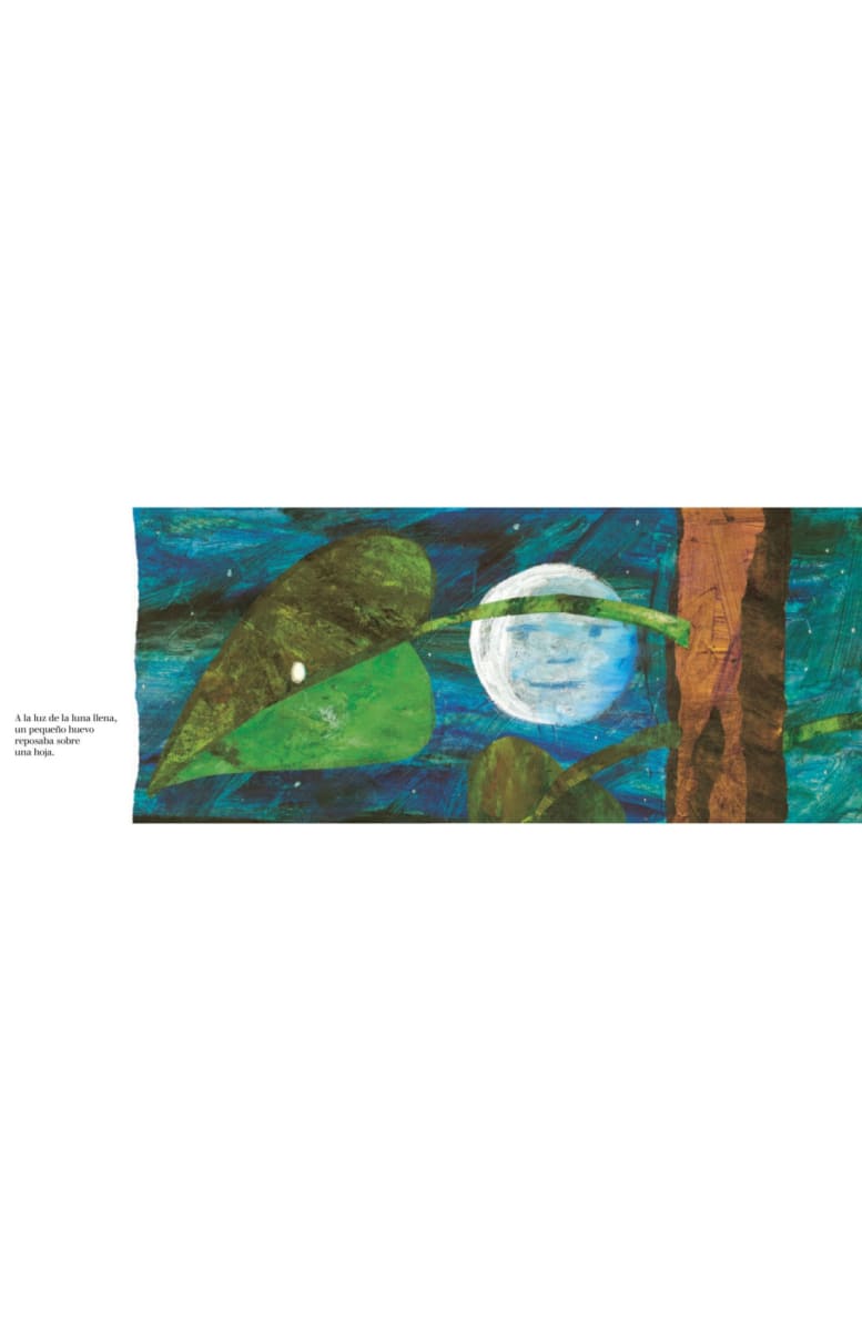 LA PEQUEÑA ORUGA GLOTONA TD - ERIC CARLE4