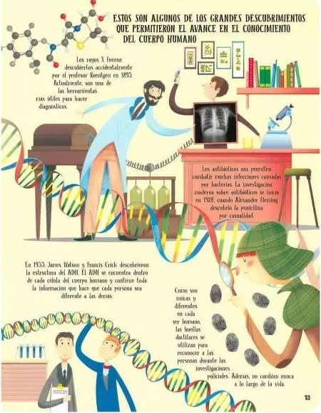 LEVANTA TAPITAS CUERPO HUMANO 60 DATOS CURIOSOS2
