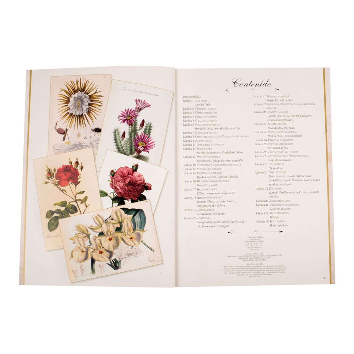 MARAVILLAS DE LA BOTÁNICA2