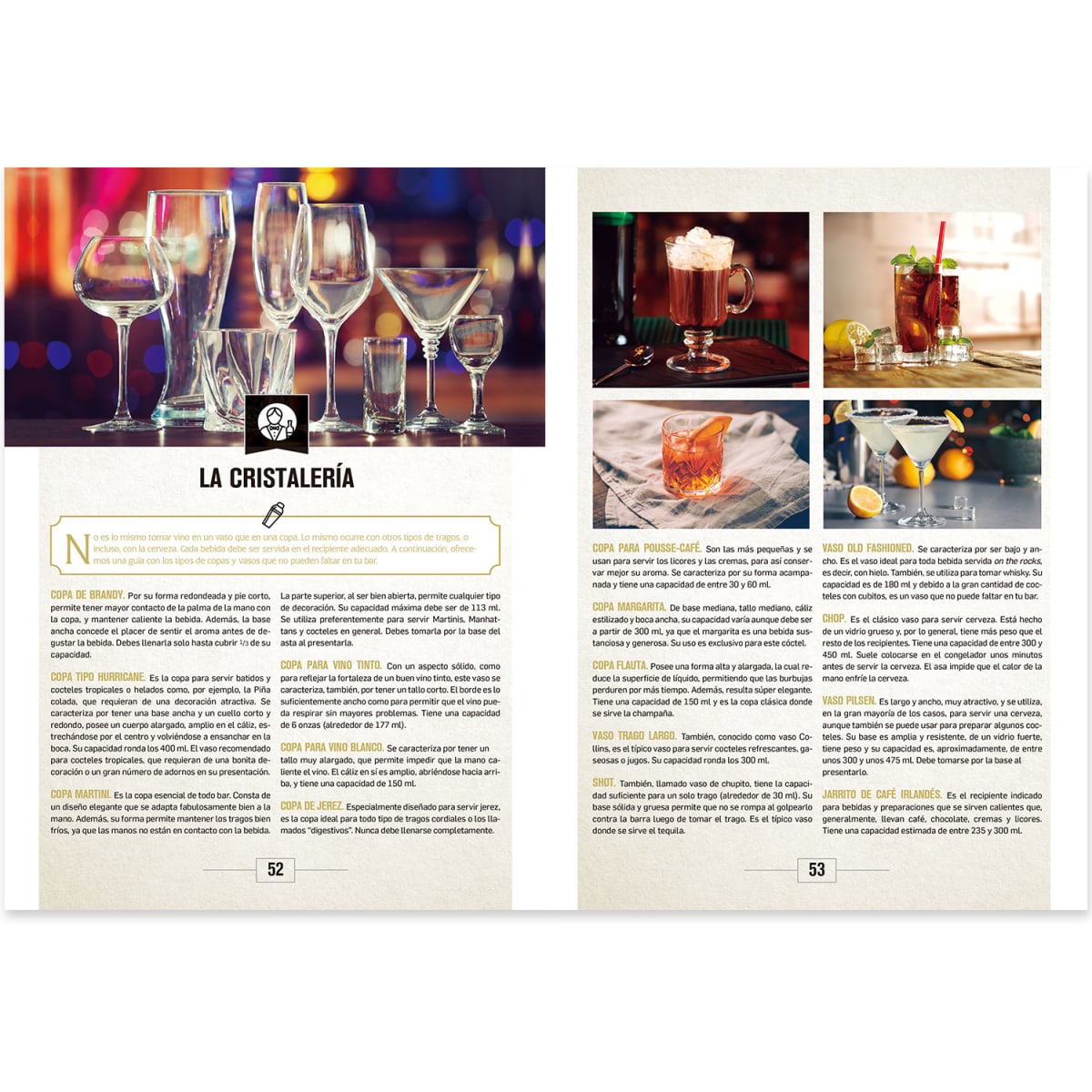 EL GRAN LIBRO DEL BARTENDER3