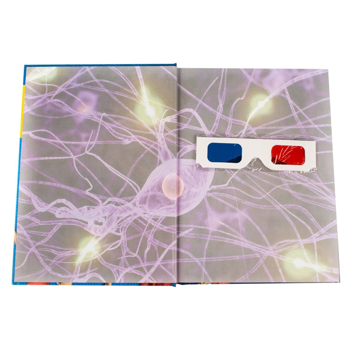 CUERPO HUMANO 3D (P)3