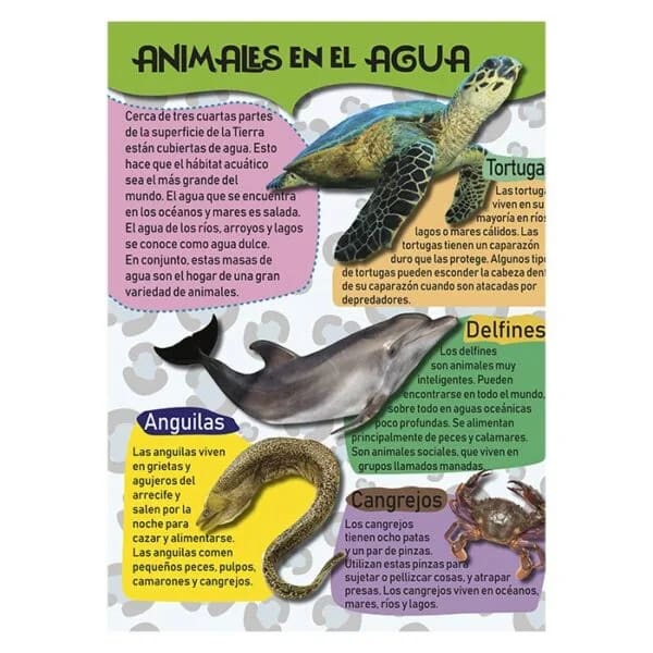 MI GRAN LIBRO DE ANIMALES GRANDE2