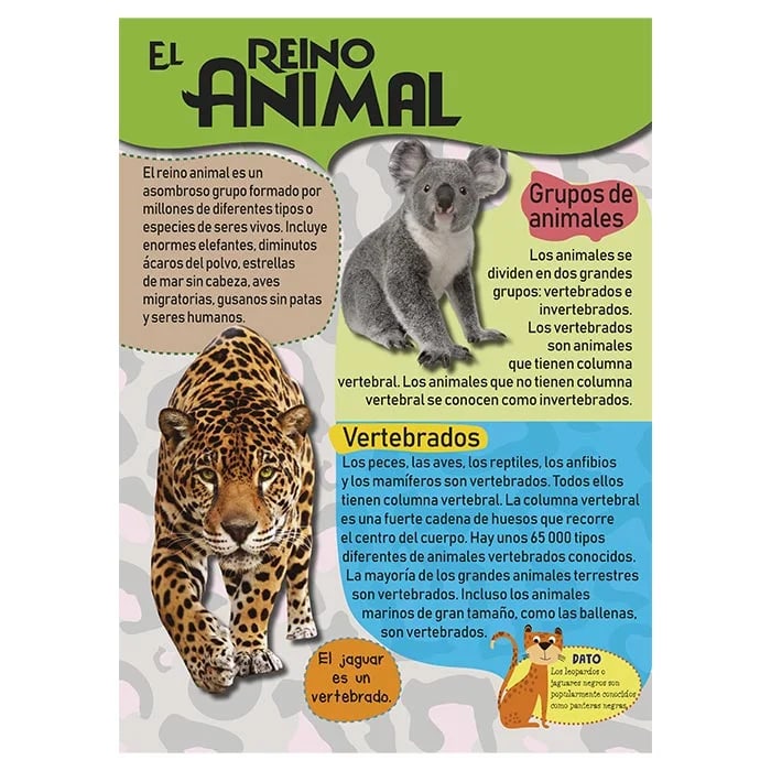 MI GRAN LIBRO DE ANIMALES GRANDE4