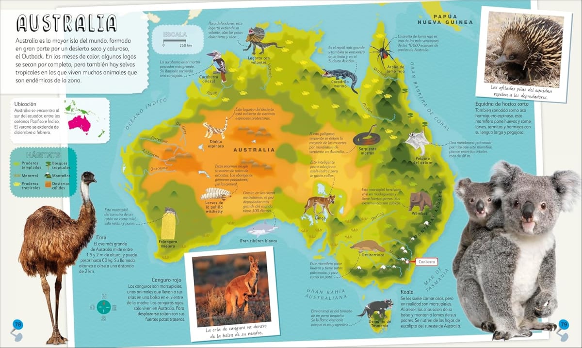 MI PRIMER ATLAS DE ANIMALES DK2