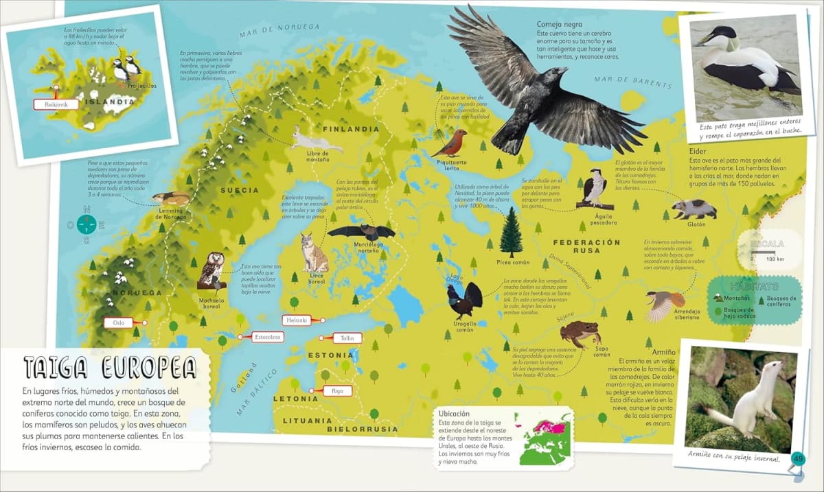 MI PRIMER ATLAS DE ANIMALES DK4