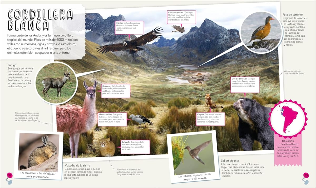 MI PRIMER ATLAS DE ANIMALES DK3