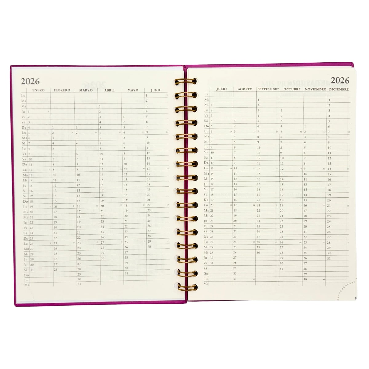 AGENDA 2026 MINIMAL5